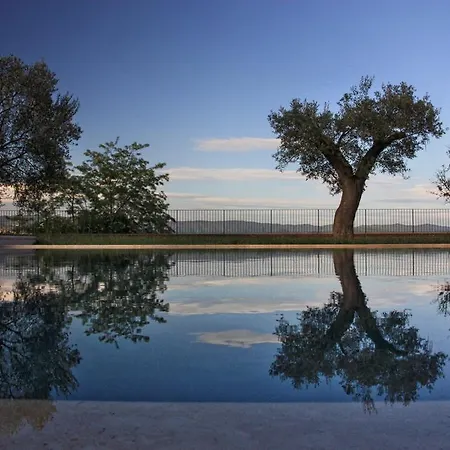 Villa Loggio Winery&Boutique Hotel-3